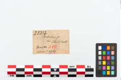 Etikett zu Bronzemehrkopfnadel (NHMW-PRAE-025313)